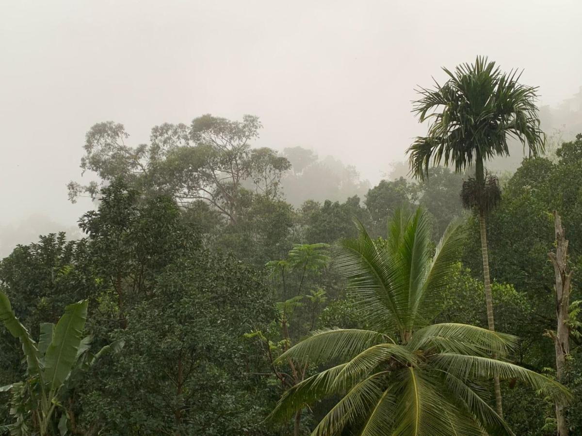 Jungle View Cottage Ella Exterior foto